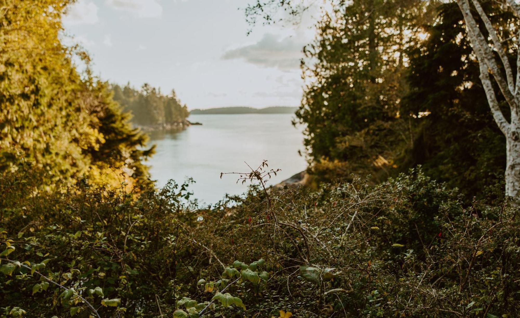 Lunar Cove Inn Charters And Tours Tofino Esterno foto